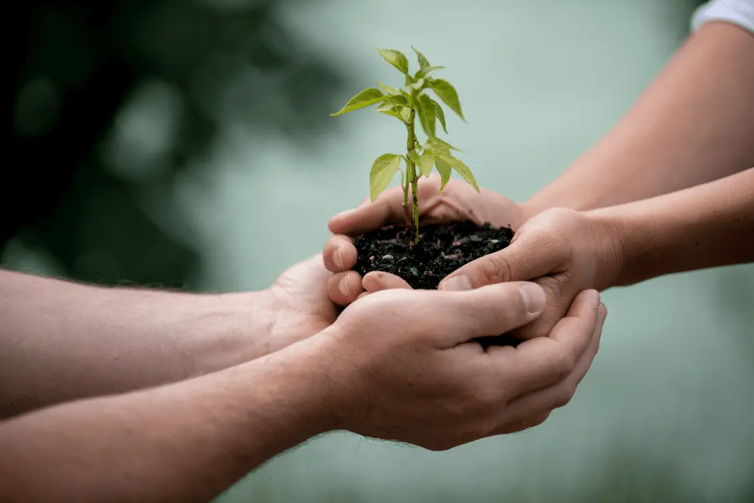 koplit-cooperation-together